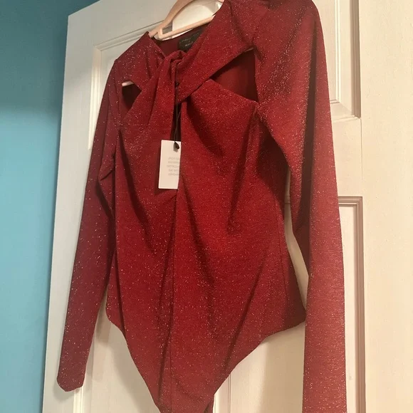 Michael Costello Elegant Burgundy Cutout Bodysuit - Picture 3 of 3